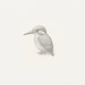 The Kingfisher