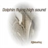 Dolphin flying high sound