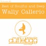 Best Of Soulful And Deep - Vol 1 Wally Callerio