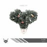 Code E.P