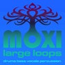 Vortex Loopy Loops Volume 14