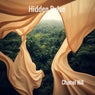 Hidden Pulse