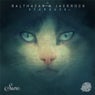 Stargaze EP