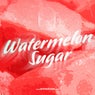 Watermelon Sugar (Acoustic)