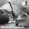 Memory Fragment EP
