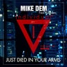 (I Just) Died In Your Arms