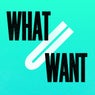 What U Want (2017 Remixes)
