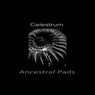 Ancestral Pads