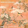 Garden Birds