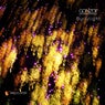 Burlylight