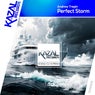 Perfect Storm
