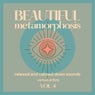 Beautiful Metamorphosis (Relaxed and Calmed Down Sounds), Vol. 4