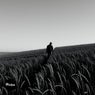 Kuyah
