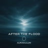 After the Flood