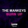 Burn Up