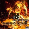 Burning Down (feat. Zara Taylor)