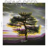 Rising Deep Vol. 7