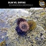 Echinoidea (Merisiili)