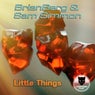 Little Things (Edit)