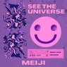 See The Universe (In Your Eyes)