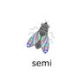 Semi
