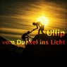 Vom Dunkel ins Licht