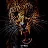 Cheetah / Sultan