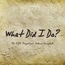 What Did I Do?