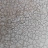 Surface