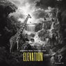 Elevation