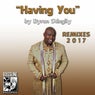 Having You (Remixes 2017)