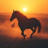 Dusty Trails and Fading Suns