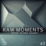 Raw Moments, Vol. 3 - Rough Techno Sounds