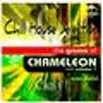 The Groove of Chameleon, Vol. 1 (Chill House Selection, Selected By Ritmo Urbano)