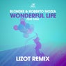 Wonderful Life (Lizot Edition)