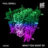 What You Want EP