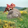 The Immortal Toad