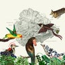 Birds 1-39