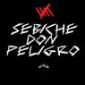 SEBICHE