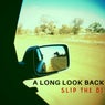 A Long Look Back