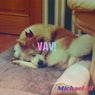 Vav!