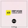 ADE: Deep House 2016, Vol. 1
