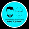 What You Want (Extended Mix)