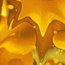 Niacin