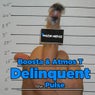 Delinquent / Pulse