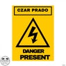 Danger Present