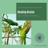 Healing Brains (Music For Mental Balance, Music For Healing, Music For Meditation, Theta Healing)