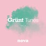 Grunt Tunes, Vol. II