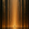 Mindshadows