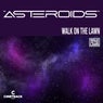 Asteroids